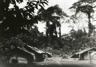Kamerun. Aufgelassene Siedlung mit Satteldachhütten der Bafo in der Regenwaldzone am Oberlauf des Mungo (Hassert / Thorbecke-Kamerunexpedition 1907/1908)