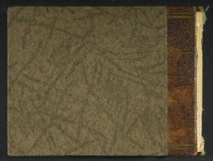 Fotoalbum der Familie Theodor Blumer