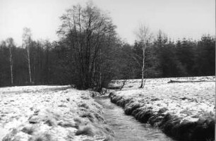 Tharandt-Triebisch, Tharandter Wald. In den Triebischwiesen zwischen Hartha und Grund