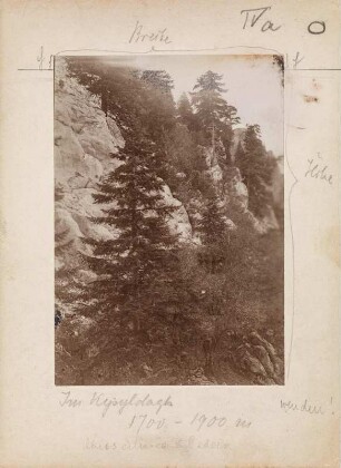 Im Kizildag : Am Kurubelpass im Kizildag auf 1700 - 1900 Meter Höhe.