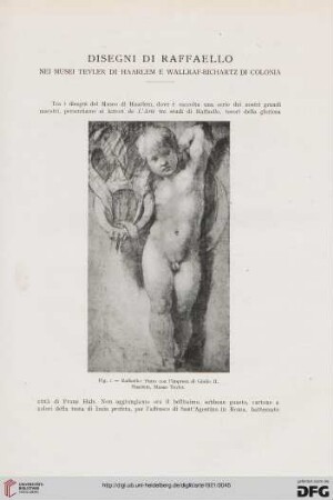 24: Disegni di Raffaello nei Musei Teyler di Harlem e Wallraf-Richartz di Colonia