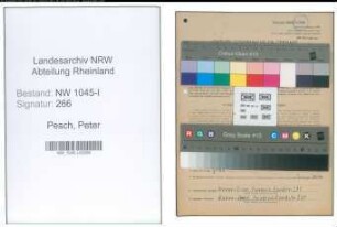 Entnazifizierung Peter Pesch , geb. 02.04.1894 (Metzger)