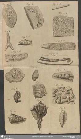 [Fig. 1 - Fig. 14]