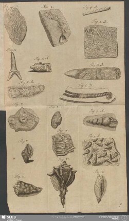 [Fig. 1 - Fig. 14]