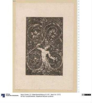 (2) 1 Blatt Rankenfüllung: B. 557.