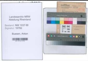 Entnazifizierung Anton Buesen , geb. (Landesinspektor)