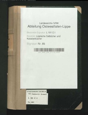 Salbuch der Stadt Lage von 1863, Bd. 2 (Duplikat)