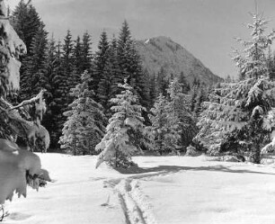 Allgäuer Alpen, Himmelschrofen bei Oberstdorf