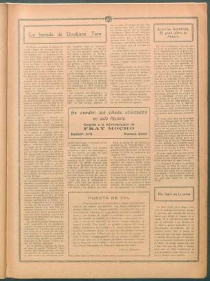 Árboles históricos. El gran olivo de Arauco.