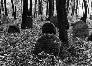 Jüdischer Friedhof; Wanfried, Auf dem Roten Berg