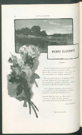 Mundo elegante