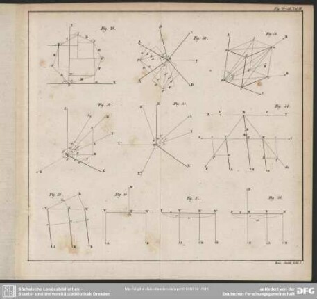 Fig. 29-38. Taf. III.