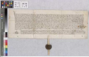 Neckarhausen: Kundschaft über die Rechte der Herren v. Hirschhorn zu Neckarhausen und Michelburg gegenüber Ansprüchen des Klosters Schönau aufgeno...