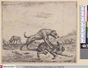 [Kämpfende Hunde; Fighting Dogs]