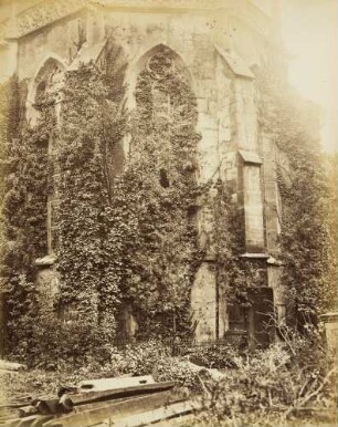 Studien an der gotischen Peterskirche in Heidelberg: Chorfenster mit Efeu