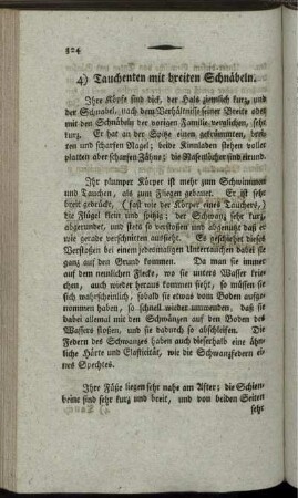 4) Tauchenten mit breiten Schnäbeln.