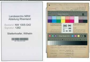 Entnazifizierung Wilhelm Stiefenhoefer , geb. 20.05.1908 (Klempner)