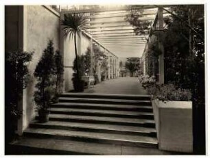 Ausstellungsgarten Deutsche Gartenbau-Ausstellung 1933, Berlin: Innenansicht Ausstellungshalle, Laubengang mit Treppe