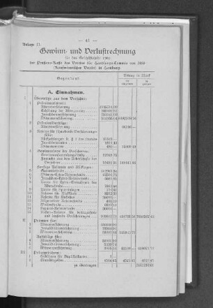 Anlage 11. Gewinn- und Verlustrechnung