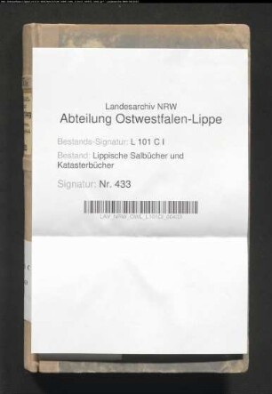 Konzept des Salbuchs des Amtes Sternberg von 1858, Bd. 3