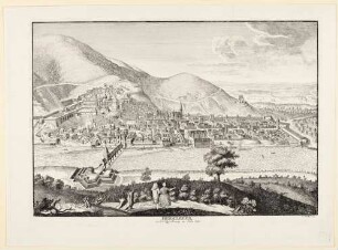 Heidelberg, Stadt und Schloss von Norden