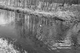 Uckermark