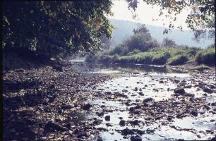 Donauversickerung im Donautal