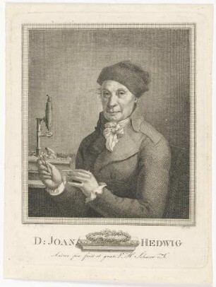Bildnis des Joan Hedwig
