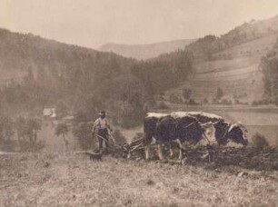 Tschechien, Nordböhmen, pflügender Bauer