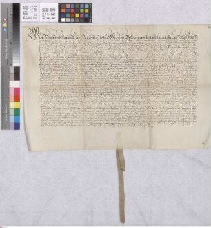 Biebesheim: Das Domstift zu Worms verpachtet dem Landgrafen Ludwig seine zwei Teile am großen und ........ ? Zehnten zu Biebesheim auf 21 Jahre ge...