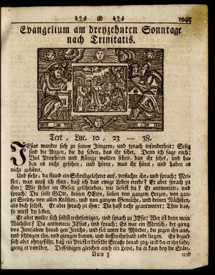 Evangelium am dreyzehnten Sonntage nach Trinitatis ... Text, Luc. 10, 23-38.