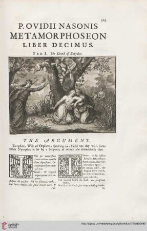 Liber decimus