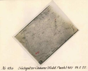 Foto des Geländes an der Südspitze des Chaume-Waldes (Luftbild)