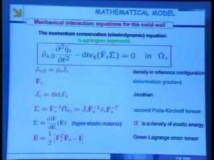 Cardiovascular mathematics