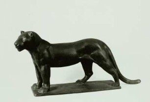 Panther