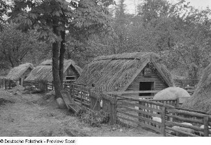 Schweineställe