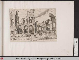 Colisei prospectus.