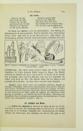 10. Fleischer und Bäcker
