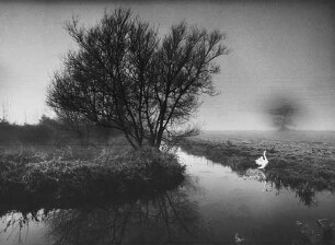 Archivfotografie "ausland_england_on14"