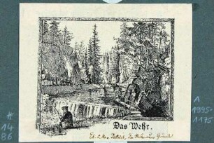 Ein Weißeritzwehr im Rabenauer Grund mit Dampflokomotive und Angler