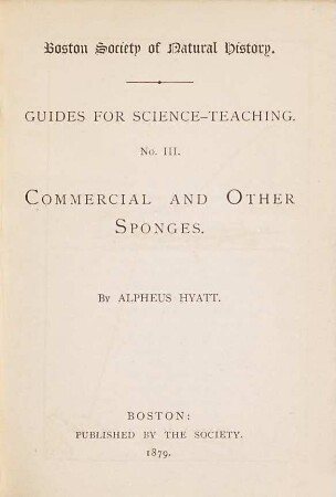 Commercial and other Sponges