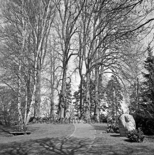 Eiskellerberg: vorn rechts Ehrenmal mit Findling: in der Mitte Weg: dahinter Baumgruppe: darunter Ehrenmal mit Gedenksteinen