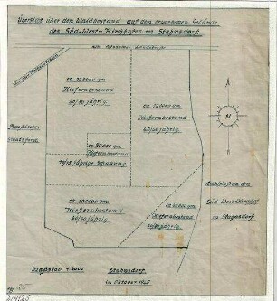 Übersicht Waldbestand - Kirchhofserweiterung