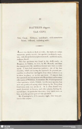 Nautilus elegans. Tab. CXVI