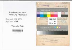 Entnazifizierung Fritz Termehr , geb. 14.08.1895 (Arzt)