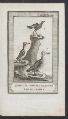 Tafel: 1. L'oiseau de tempête 2. L'Albatros 3. Le guillemot.