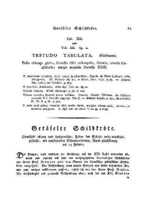 Tab. XIII. und Tab. XII. Fig. 2. Testudo Tabulata : Getäfelte Schildkröte
