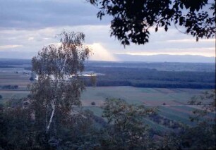 Merdingen: Landschaft in Richtung Vogesen vom Tuniberg aus, mit Baggersee und Birke