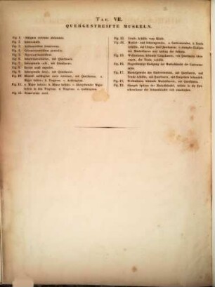 Mikroskopisch-anatomische Abbildungen : zur Erläuterung seines anatomischen Handbuches. 1, Tafel I - VII