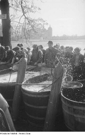Wasserbehälter zur Aufbewahrung des gefangenen Fisches umlagert von Fischern und Kindern, im Hintergrund das Moritzburger Schloss